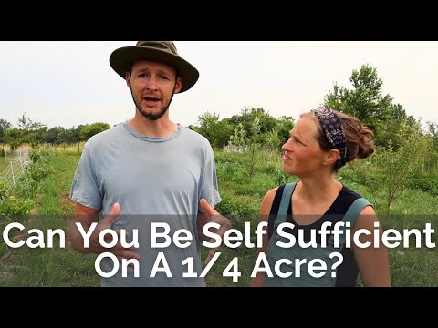 Growing Food for the Year on 1/4 Acre | Self Sufficient Garden Tour | Three Sisters Garden