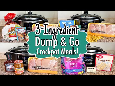 6 DUMP & GO CROCKPOT DINNERS | The BEST Quick & EASY 3-INGREDIENT Slow Cooker Meals | Julia Pacheco