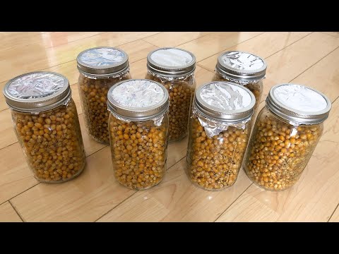 How To Make Popcorn Spawn Jars (No Pressure Cooker) - Growing Mushrooms