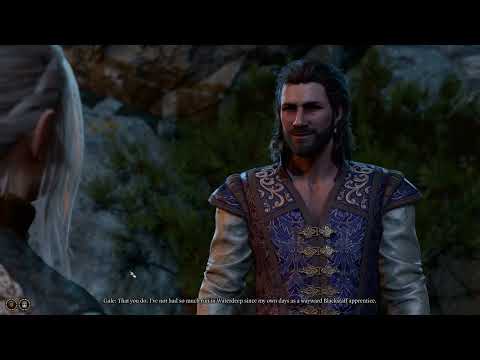 Gale's Nose Boop and His Cranky Cat (Gale Romance Epilogue/Patch 5) - Baldur's Gate 3