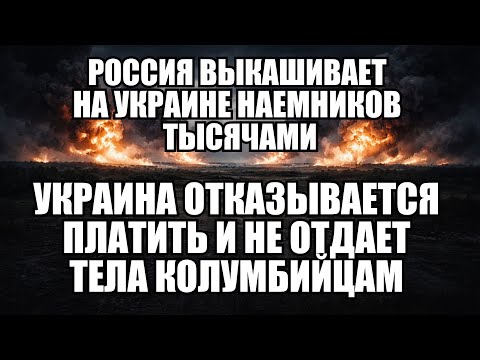 Promised Money, Received Trenches: The Reality of Foreign Legions | Kramarovsky