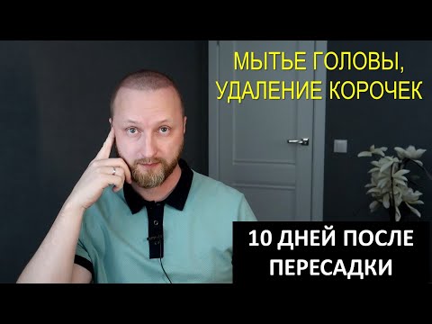 МЫТЬЕ ГОЛОВЫ | СНЯТИЕ КОРОЧЕК | ПЕРЕСАДКА ВОЛОС