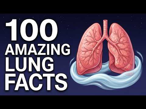 The Most Relaxing Facts About Lungs to Fall Asleep To