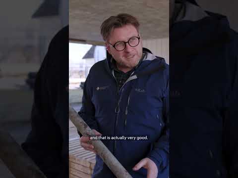 There's a hidden treasure under this village