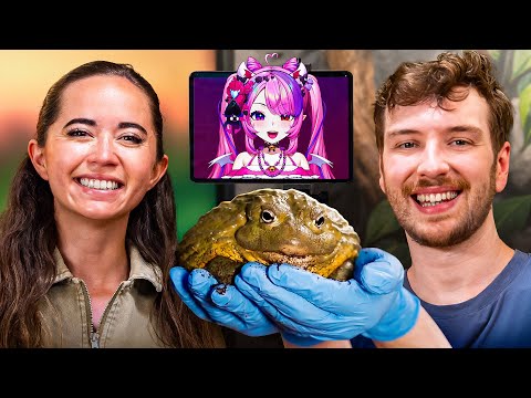 We Visited the Alveus Sanctuary