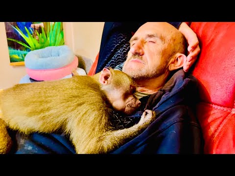 СЧАСТЛИВЫ ВМЕСТЕ, Люська с Владом спят под колыбельную для львят)))