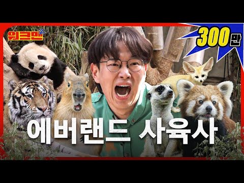 🌟Everland🌟 I went to a safari, not Amazon!!! 🐼🦁🦊 | Everland Zookeeper | Walkman 2