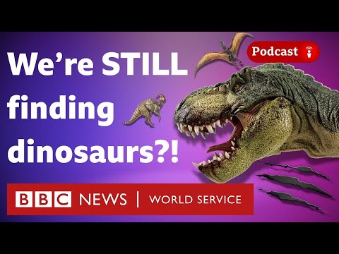 Why dinosaurs are being found every week - What in the World podcast, BBC World Service