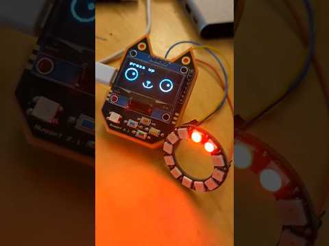 WiFi Hack Cat #shorts