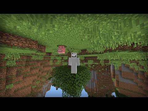 Upside Down Minecraft