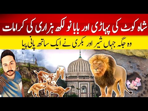 Chilla Gaha Baba Nau Lakh Hazari || Lion and Goat Living Together In a Mountain?
