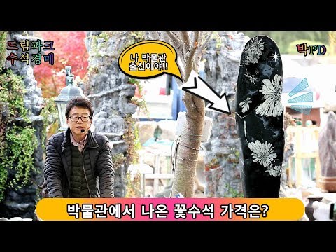 수석경매  박물관에서 나온 꽃 수석 가격은?ㄷㄷㄷㄷ