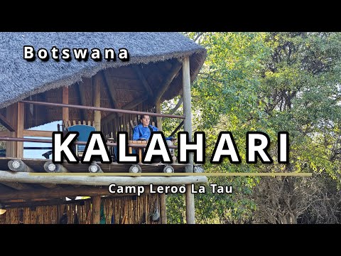 Central Kalahari desert Safari: Honest Review of Leroo La Tau  Zebras, Dry Rivers & No Lions