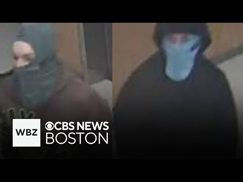 2 Massachusetts men charged in Harvard Medical School explosion I Watch full news conference