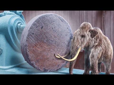 The OLDEST WOOD IN THE WORLD! – Turning 50,000-Year-Old Kauri!