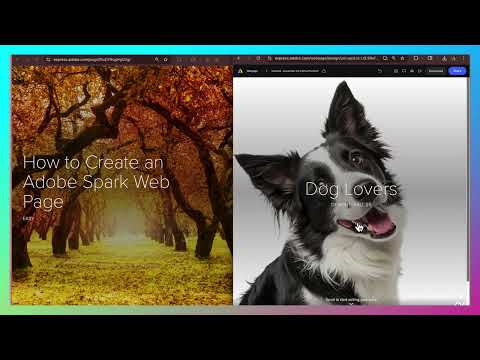 How to Create an Adobe Express Webpage