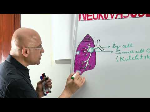 Lung Tumor Histology