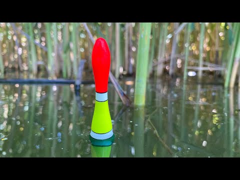 Стал на КОТЁЛ КАРПА и АМУРА! Рыбалка на ПОПЛАВОК!