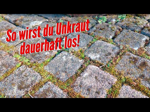 8 tips against weeds in joints [how to get rid of weeds permanently]