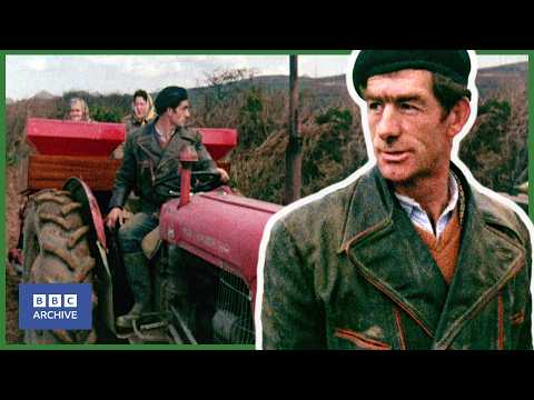1969: HARD LIFE of the FARM WORKERS | Man Alive | World of Work | BBC Archive