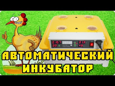 Автоматический китайский инкубатор на 48 куриных яиц
