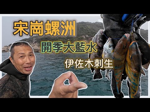 《陸上人的水上生活》 #42  宋崗螺洲 開季大藍水 伊佐木刺身