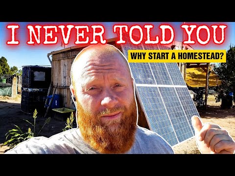 This is why I started my homestead