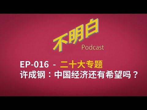 不明白播客 - 20大专题｜EP-016 许成钢：中国经济还有希望吗？