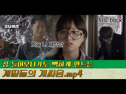 [#BestofReply] (ENG/SPA/IND) The Sung Sisters Fighting Like Crazy!!! | #Reply1988 | #Diggle