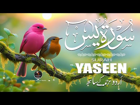 Surah Yaseen (Yasin) سورة يس | Ultimate Lofi Quran | Heart Touching Relaxing Voice | EP-152