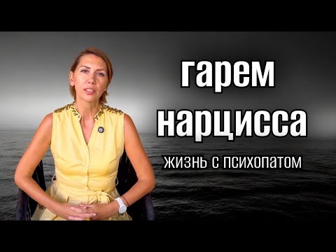 LIFE WITH A PSYCHOPATH🙉 NARCISSIST'S HAREM🥹 NARCISSISTIC PERSONALITY DISORDER 😱