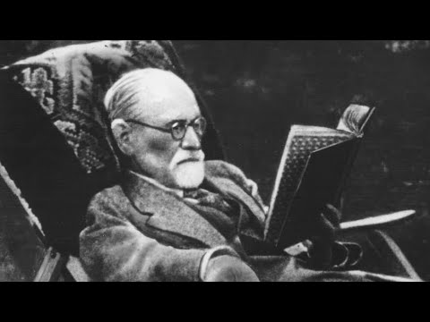 Full Lecture: Where To Start With Freud + Žižek On Why We Need Lacan To Understand Hegel