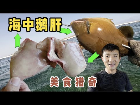 《环球探海记》阿曼 第49天:今天潜水猎奇“海中鹅肝”时,我竟然被咬伤了 #海鲜美食 #美食猎奇 #自由潜 #渔猎