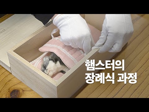 햄스터 장례식 과정과 비용 정보 - 반려동물 장례식 [소동물]편