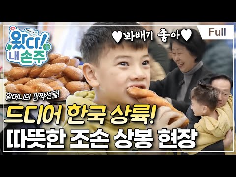 [Full] 왔다! 내 손주 - 자유로운 영혼, 오스트리아 비글 형제! 좌충우돌 한국 적응기(2)