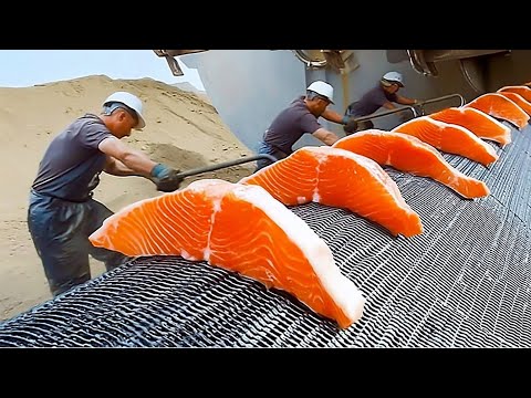 66 SATISFYING VIDEOS OF WORKERS WHO DO THEIR JOB PERFECTLY