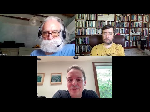 Conversation between Joscha Bach, Chris Fields, and Michael Levin