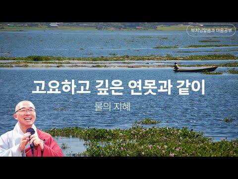 고요하고 깊은 연못과 같이, 물의 지혜 - 부처님말씀과 마음공부(17-3)