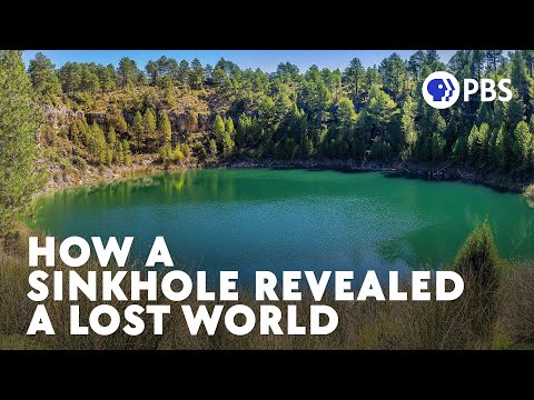 How a Sinkhole Revealed a Lost World