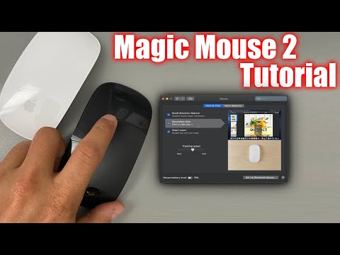 How To Use The Apple Magic Mouse 2 Tips, Features, Settings & Gestures