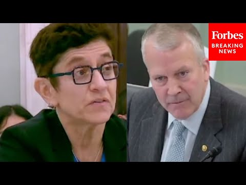 'I'm Going To Try To Be Respectful': Dan Sullivan Goes Toe-To-Toe With Gigi Sohn Over Fox News