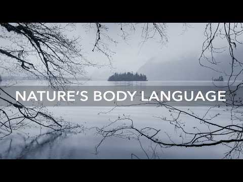 The Landscape Is Trying to Tell You Something