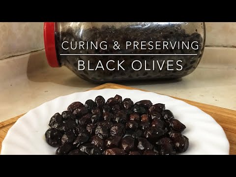 How To Cure Olives |Curing And Preserving Black Olives