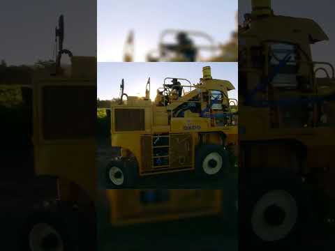 Grape Farming, Watch Full video in linked Video  #modernagriculture #modernfarming #automobile#grape