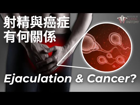 【射精】男性的射精頻率：真的越高越好嗎？