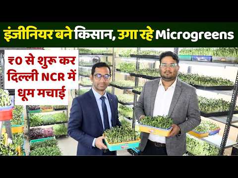 3 इंजीनियर्स, कमरे में उगा रहे हैं Microgreens 😍 Business Idea ने बदली किस्मत