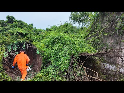 TIME LAPSE - Top 5 ABANDONED HOUSES - The Most Satisfying Transformations Ever