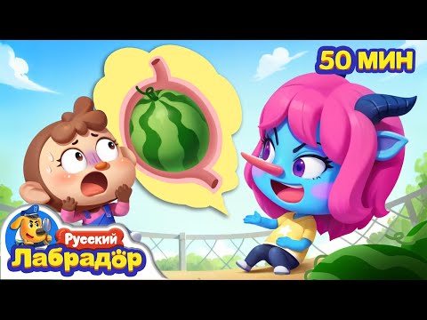 🍉У меня в животе растет арбуз | Правила Безопасности | 🔍Сборник мультиков для детей | Шериф Лабрадор