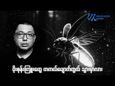 လူသားတွေကို ကျောခိုင်းသွားတော့မယ့် ပိုးစုန်းကြူးတွေ အကြောင်း