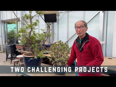 Two Challenging Projects